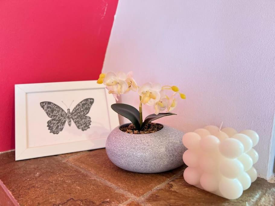 Cozy Fairytal Garden Apartment, Family Friendly, Free Parking, 15 Min To Airport Atenas Exterior foto